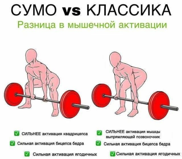 Становая тяга сумо. Техника, какие мышцы работают