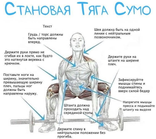 Становая тяга сумо. Техника, какие мышцы работают