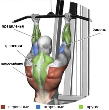 Тяга верхнего блока к груди широким хватом. Техника